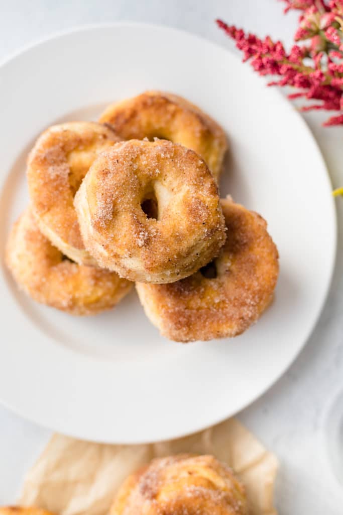 Air Fryer Donuts Cinnamon Sugar Recipe at eriqueberry.co
